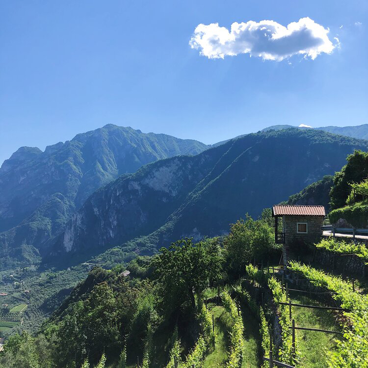 Hotel Luise - Luoghi segreti - Dalla Cascata del Varone si prende il sentiero della Gola che sale fino al Castello di Tenno.