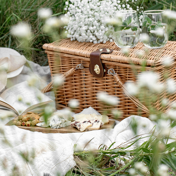 Luise pic nic: during the day the weather is perfect to stay out all the time, walking, by bicycle or by car, and we can sugggest you the right places.