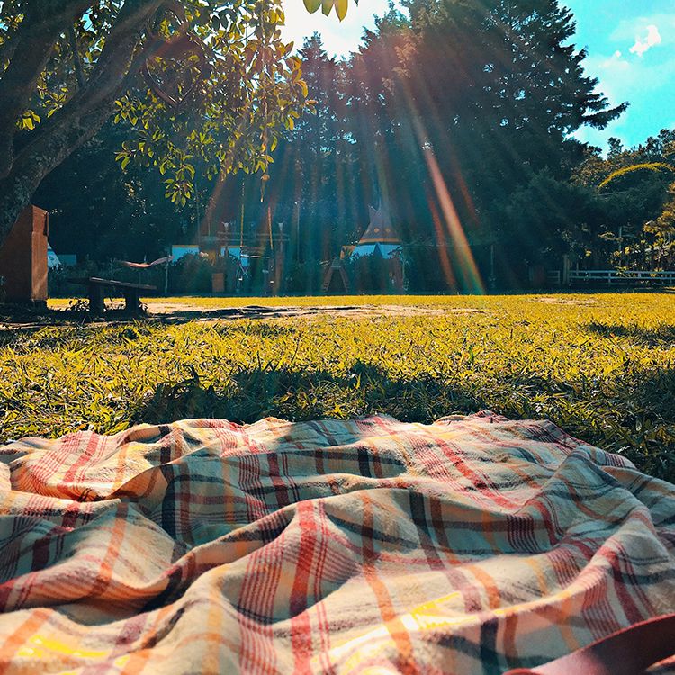 Luise pic nic: during the day the weather is perfect to stay out all the time, walking, by bicycle or by car, and we can sugggest you the right places.